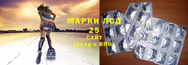 ГАЛЛЮЦИНОГЕННЫЕ ГРИБЫ Баксан