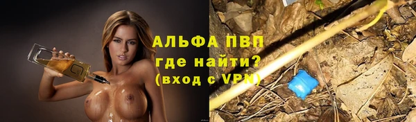 ГАЛЛЮЦИНОГЕННЫЕ ГРИБЫ Баксан