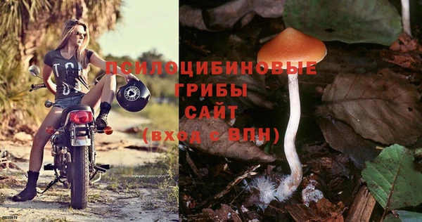 индика Балабаново
