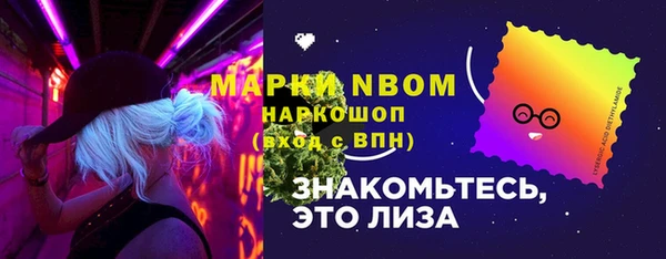 индика Балабаново