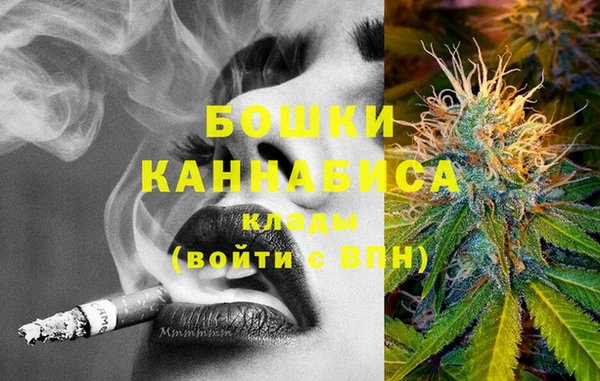 индика Балабаново