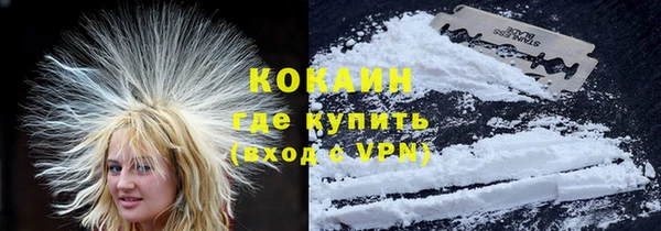 индика Балабаново
