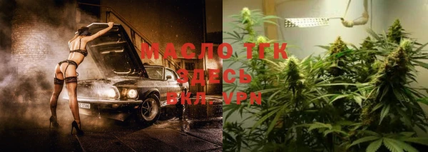 индика Балабаново
