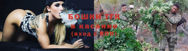 индика Балабаново